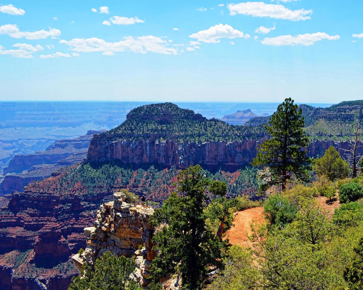 norra kanten av Grand canyon foto