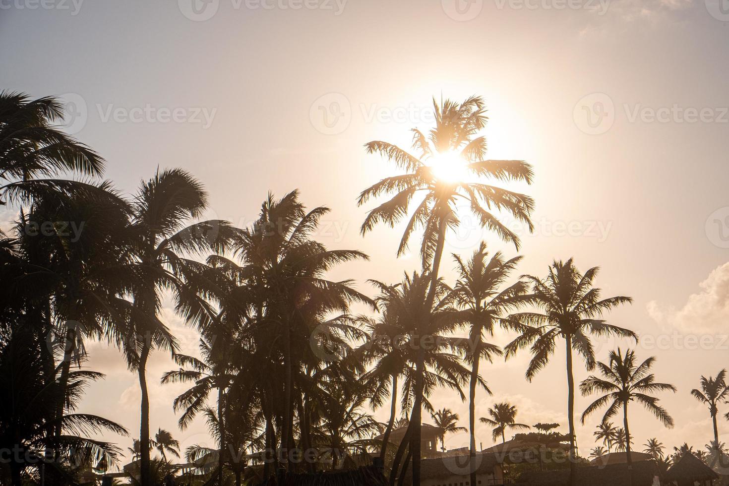 cumbuco beach, berömd plats nära fortaleza, ceara, Brasilien. cumbuco beach full av kitesurfare. mest populära platserna för kitesurfing i Brasilien, vindarna är goda under hela året. foto