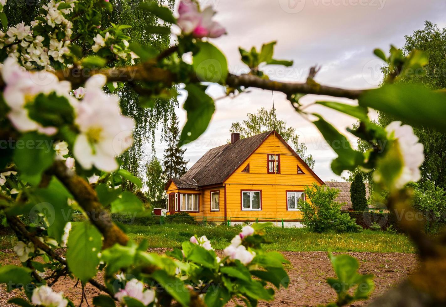 vackert traditionellt gult hus i Litauens landsbygd med vackra dekorationer foto