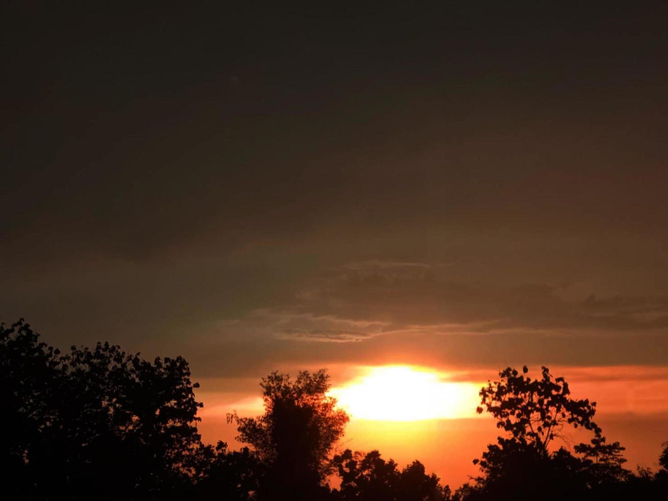 natt solnedgången lyser ljus abstrakt siluett svart buske träd på orange ljus sol moln himmel natur bakgrund foto