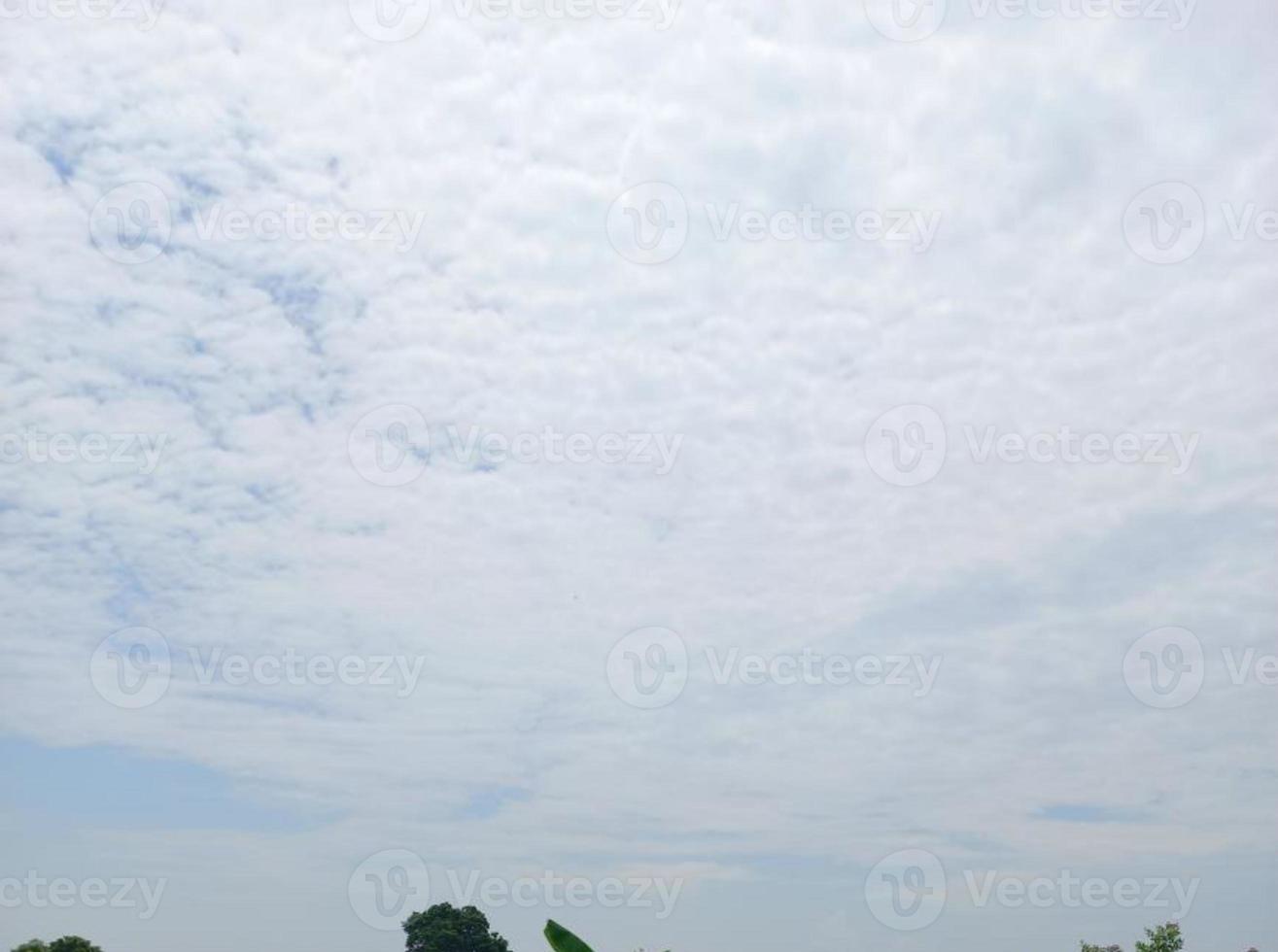 grönska natur trädgård ekologiskt landskap med gård, blommor, sol, vattenfall, trädgårdsarbete av jorden dag sommar bakgrundsfotografering naturliga bilder foto