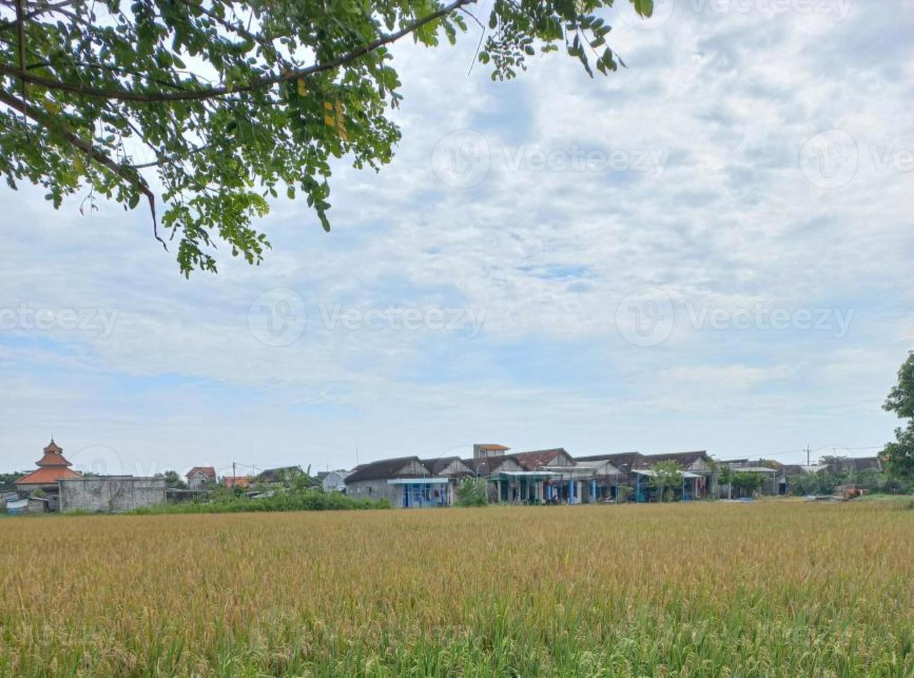 grönska natur trädgård ekologiskt landskap med gård, blommor, sol, vattenfall, trädgårdsarbete av jorden dag sommar bakgrundsfotografering naturliga bilder foto