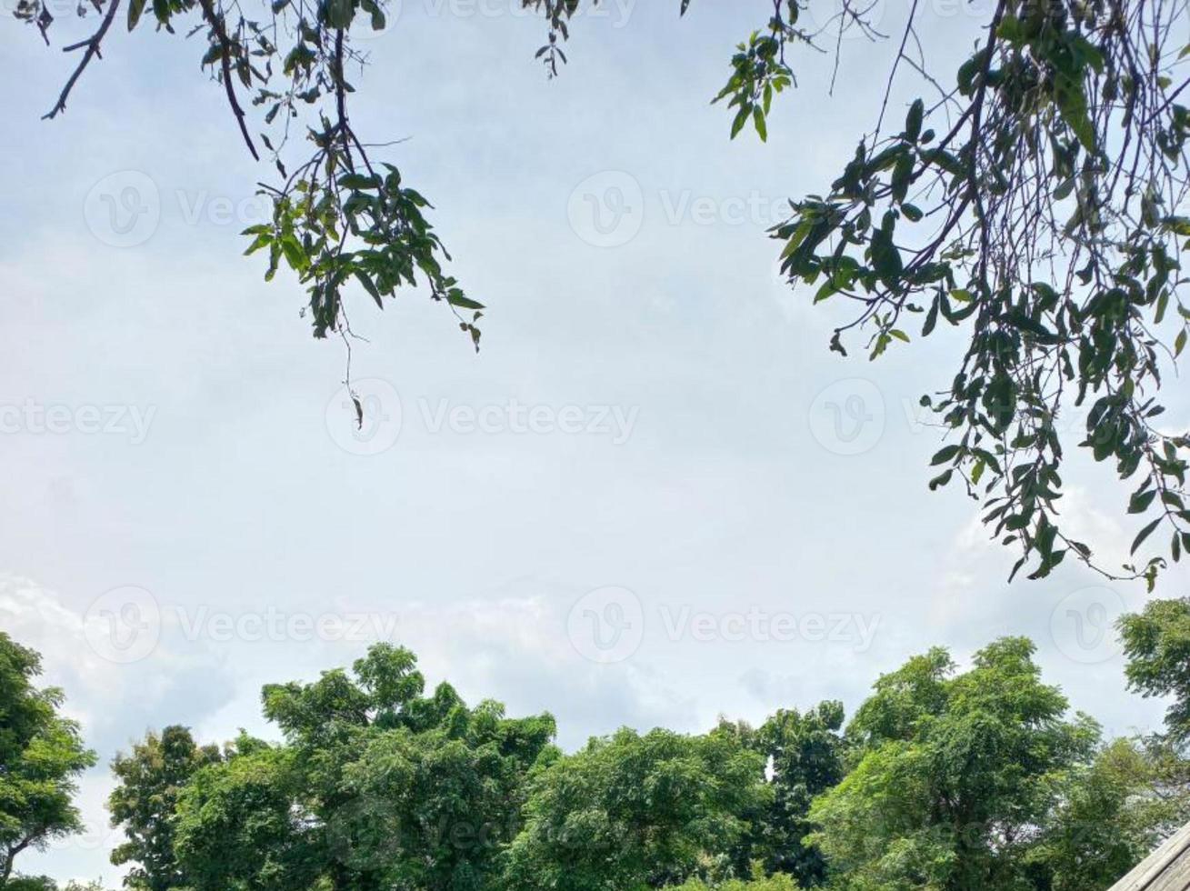 grönska natur trädgård ekologiskt landskap med gård, blommor, sol, vattenfall, trädgårdsarbete av jorden dag sommar bakgrundsfotografering naturliga bilder foto