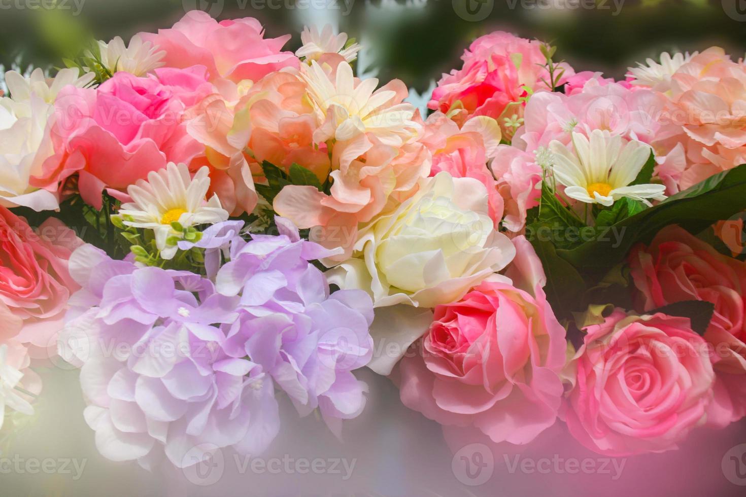 rosa rosblommor som blommar och mjukt ljus i trädgården foto