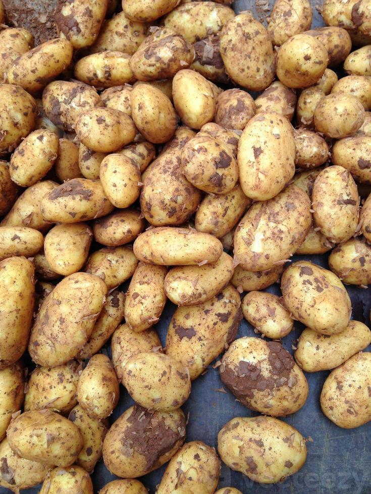 ekologisk potatis på bondens marknad foto