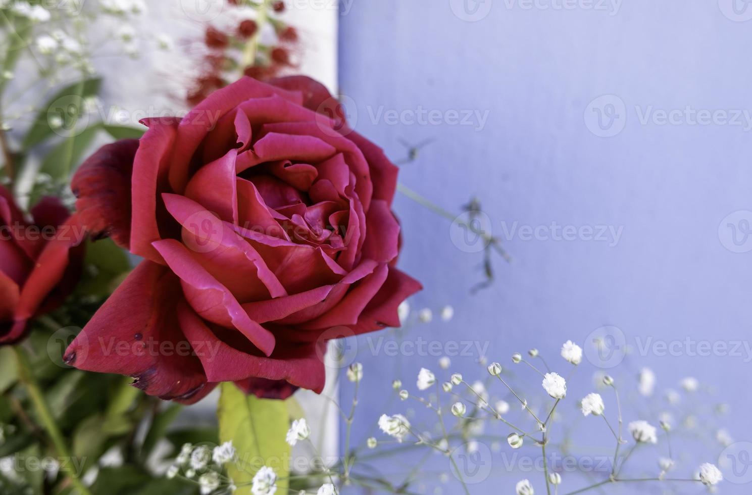 blommor på en kyrkogård foto