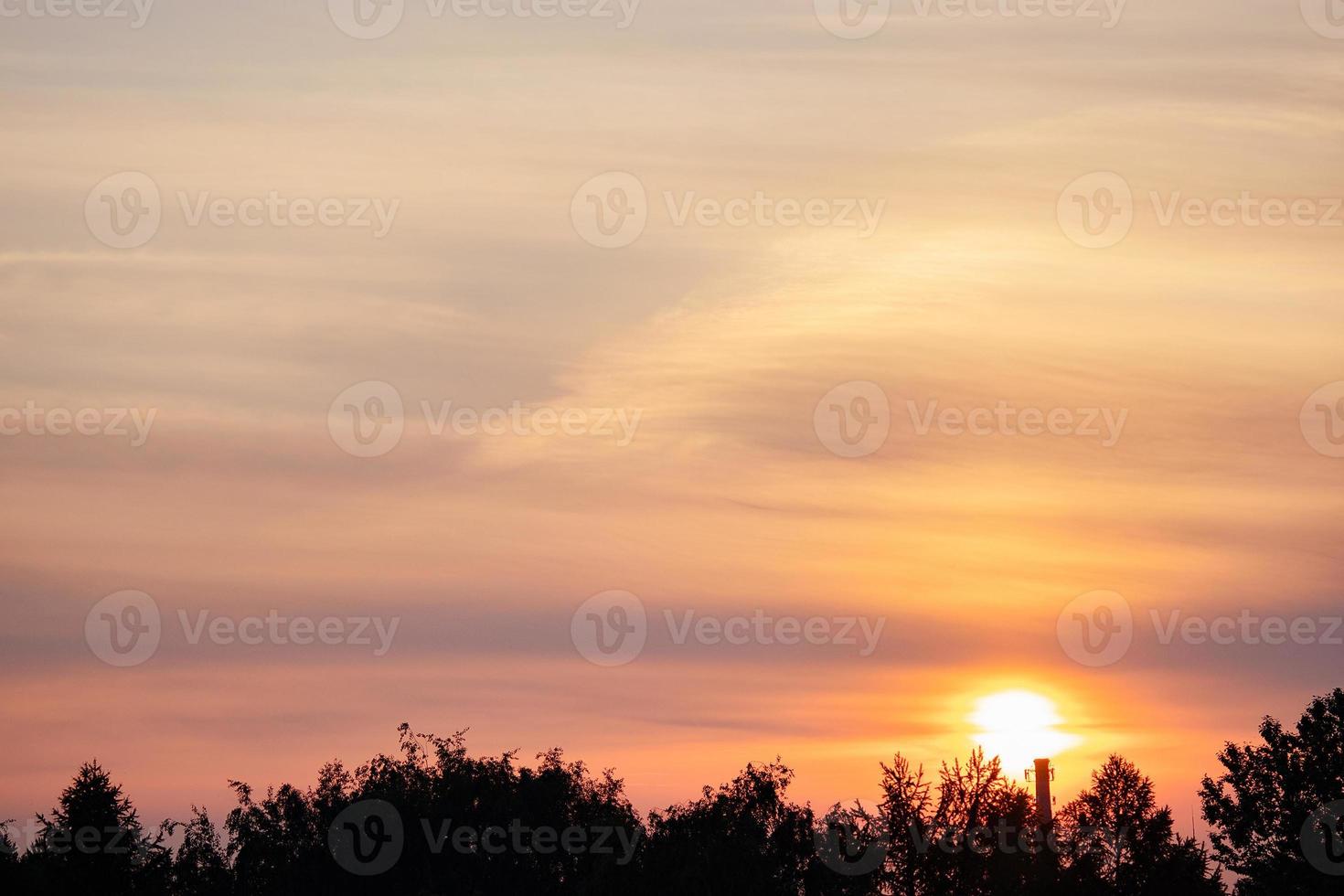 solnedgång över skogen. orange och rosa moln på himlen. träd silhuetter. foto