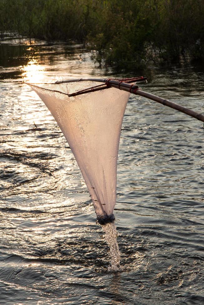 nät mesh skopa fisk ljus. foto