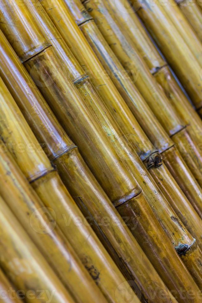 närbild bambu vägg bakgrund. foto