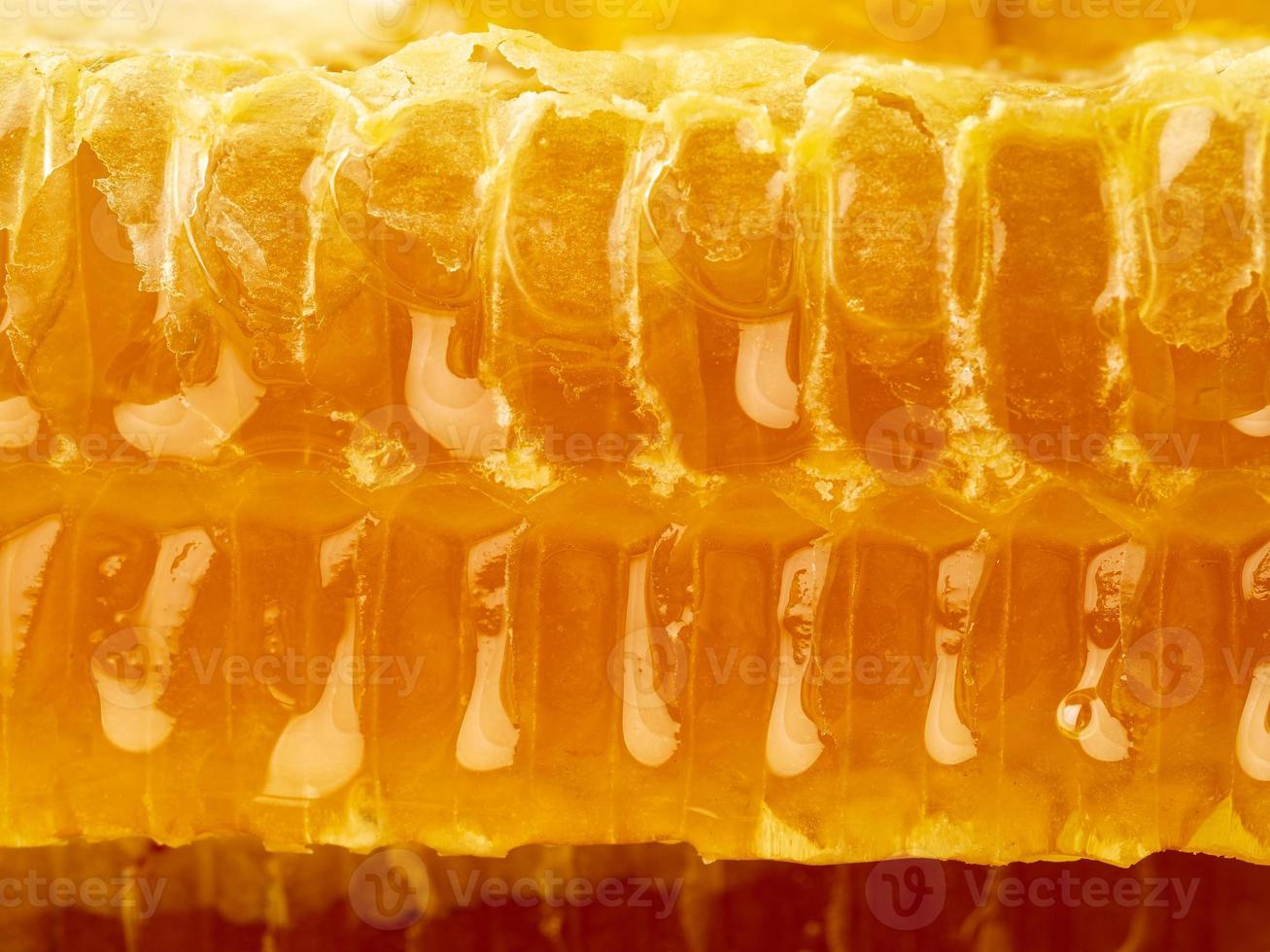 bi honeycomb närbild, färsk trådig droppande söt honung, makro bakgrund foto