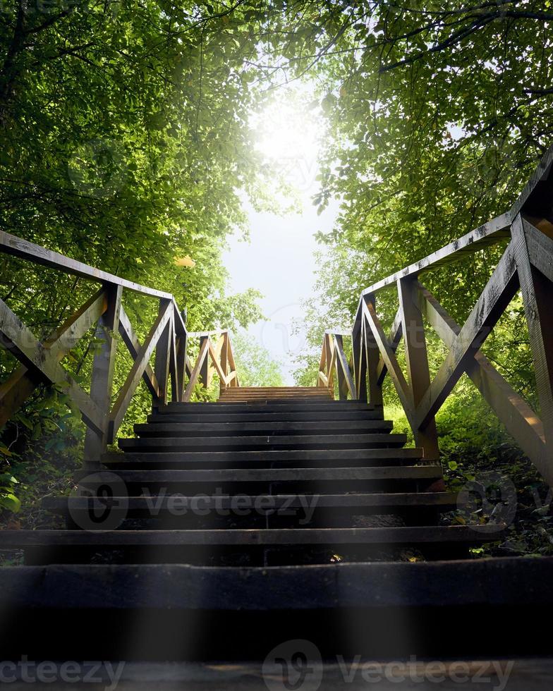 stig, väg från mörker till ljus, blå himmel, en trästege bland träd, sommar foto