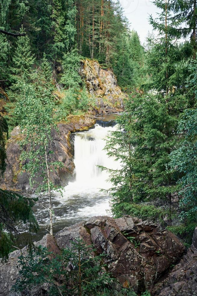 kivach falls, karelia. vackert vattenfall i den vilda norra naturen bland barrträd foto