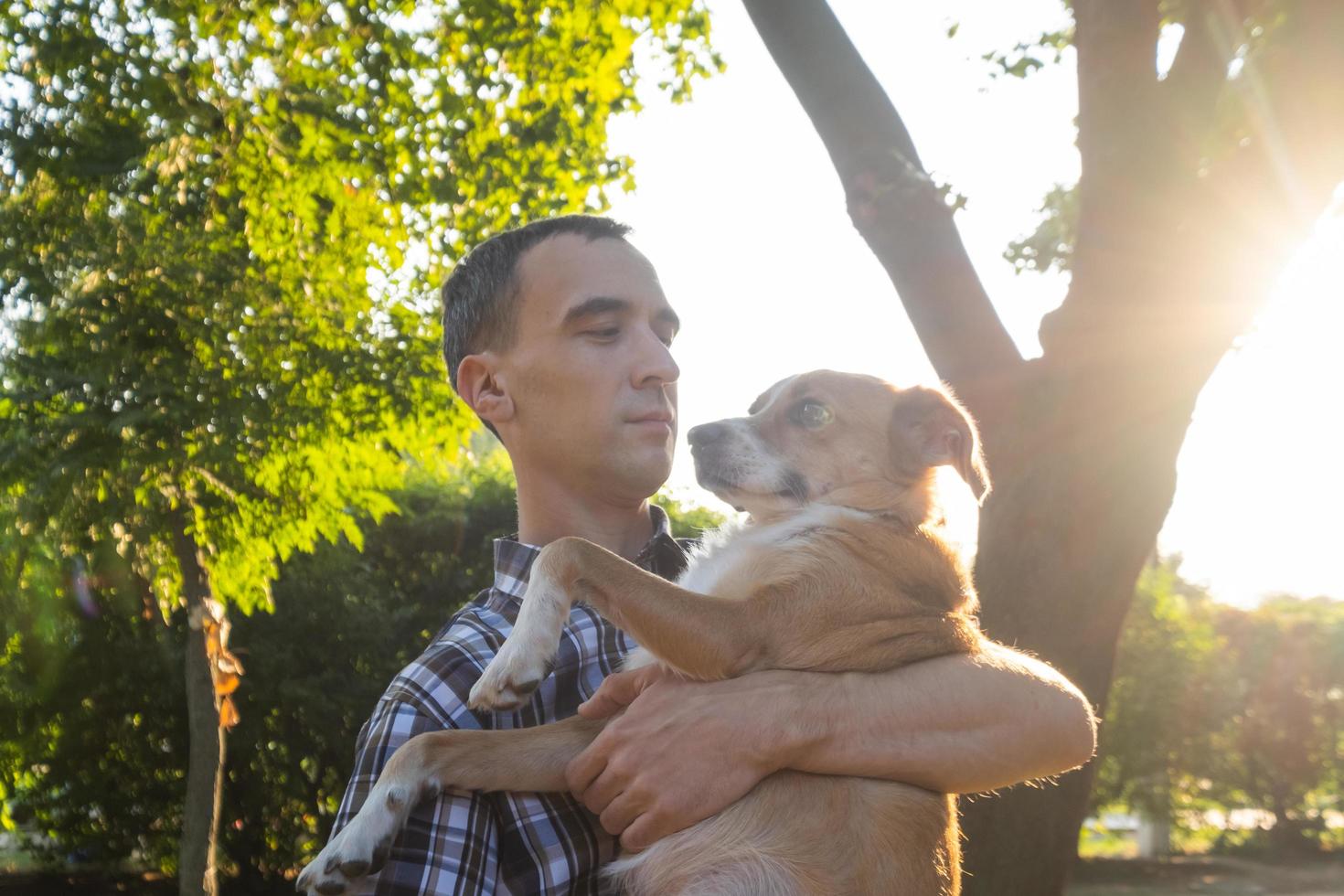 glad ung hane leka med icke ras hund i sommaren soliga parken foto