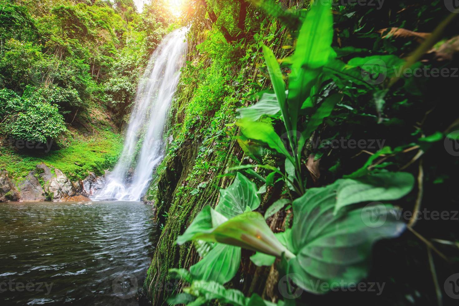 ett stort vattenfall i den fuktiga tropiska skogen i Thailand foto