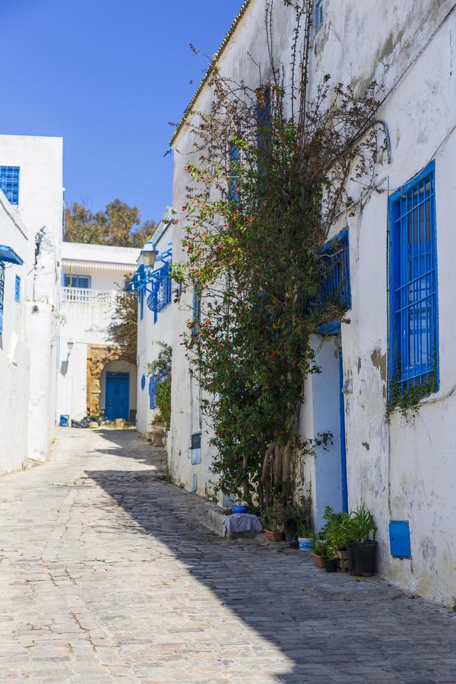 gammal arabisk stad i tunisien - sidi bu sa foto