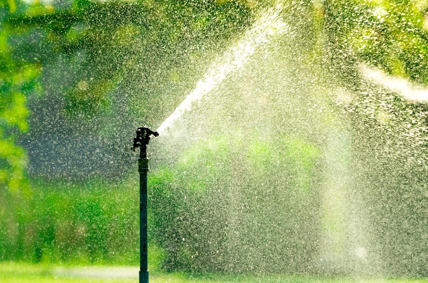 automatisk gräsmatta sprinkler vattning grönt gräs. sprinkler med automatiskt system. trädgård bevattningssystem vattning gräsmatta. vattenbesparing eller vattenbesparing från sprinklersystem med justerbart huvud. foto