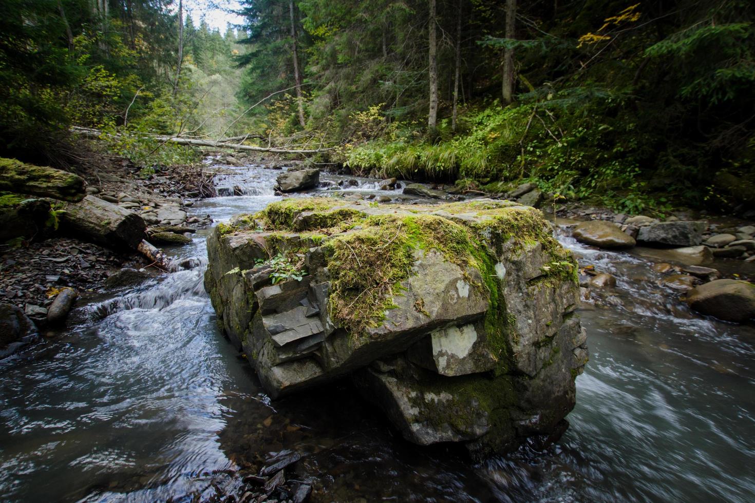 berg flod med stenar, skog och stenar bakgrund foto