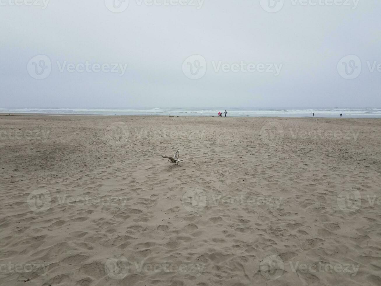 människor på stranden med havsvågor och sand och fåglar foto