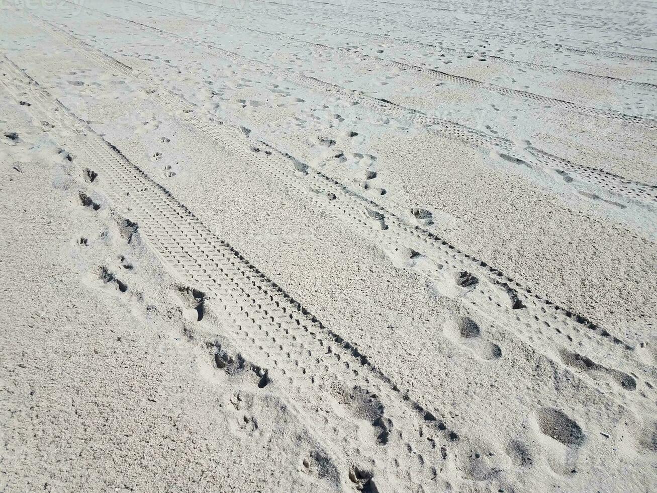 däckspår och fotavtryck på kammad strand foto