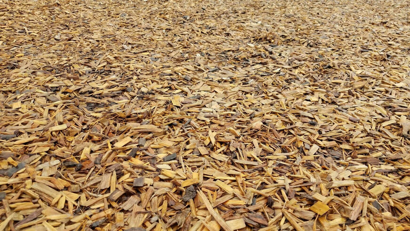 brun fuktig träflis eller kompost på marken foto