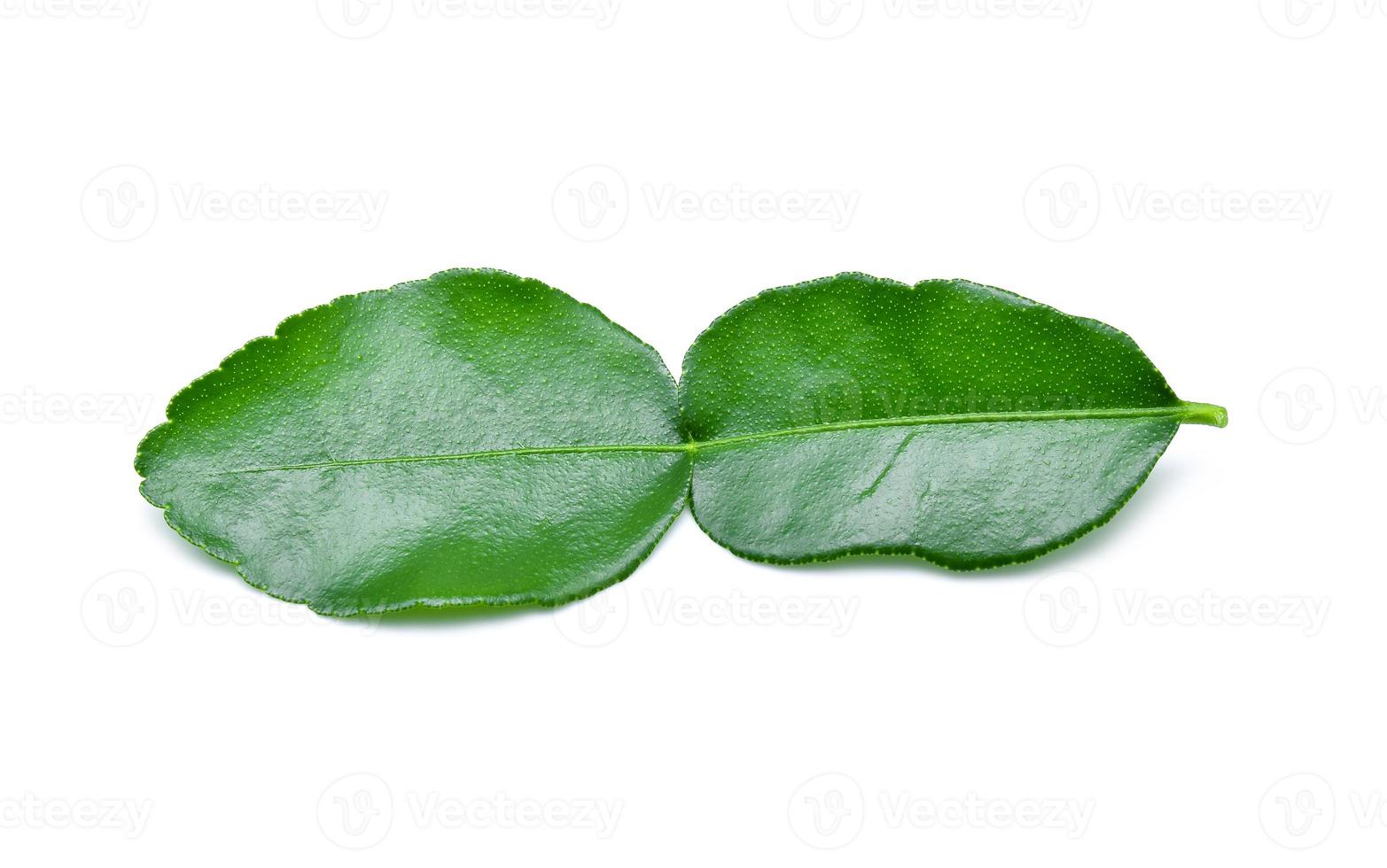 kaffir lime blad isolerad på vit bakgrund foto