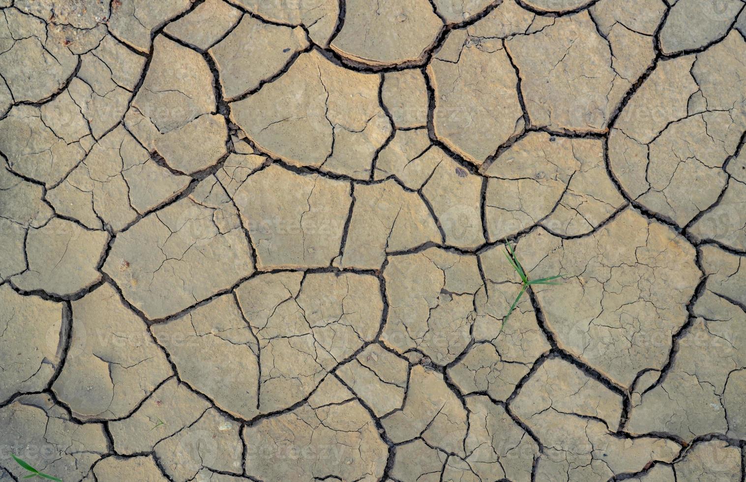 klimatförändringar och torkaland. vattenkris. torrt klimat. spräcka jord. Global uppvärmning. miljöproblem. naturkatastrof. torr jord textur bakgrund. torr och sprucken hud behöver fuktkoncept. foto