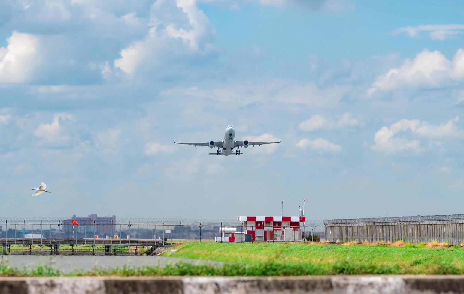 passagerarplan lyfter på flygplatsen med vacker blå himmel och vita fluffiga moln. lämnar flyg ovanför flygplatsstängsel. frihet koncept. vita fåglar som flyger under flygplan på flygplatsen. foto