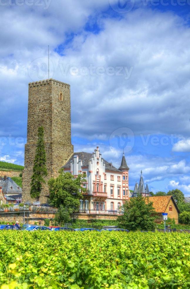 vingård nära fästningen boosenburg, ruedelsheim, hessen, tyskland foto