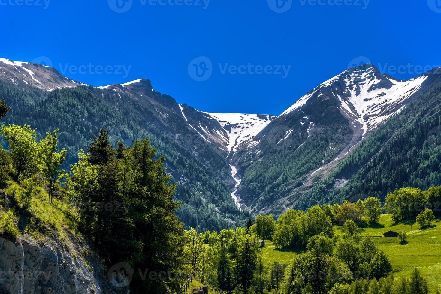 schweiziska alperna berg med träd, moerel, filet, oestlich raron, wallis valais schweiz foto