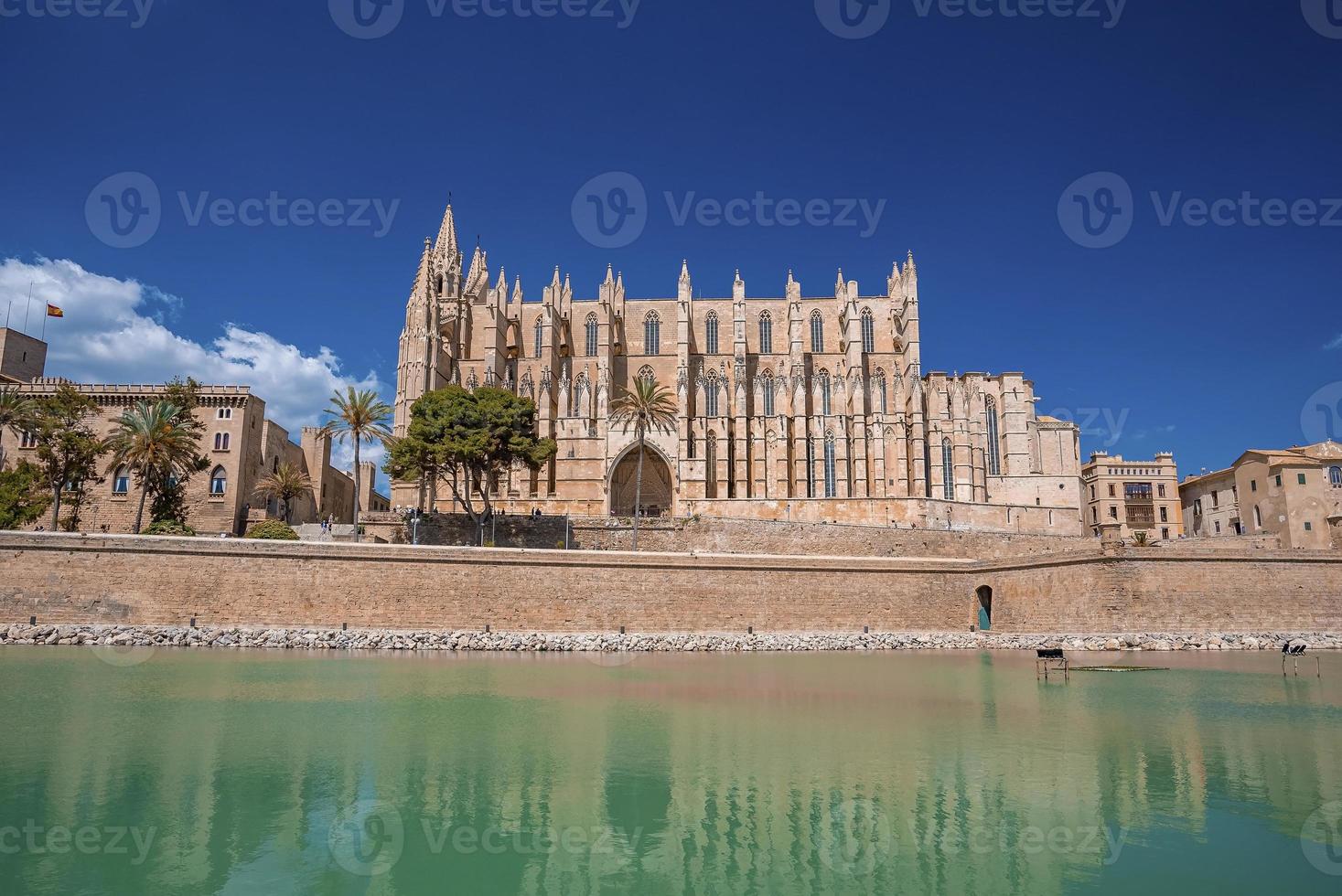 gotiska la seu-katedralen reflekterar i kanalvatten mot blå himmel på sommaren foto