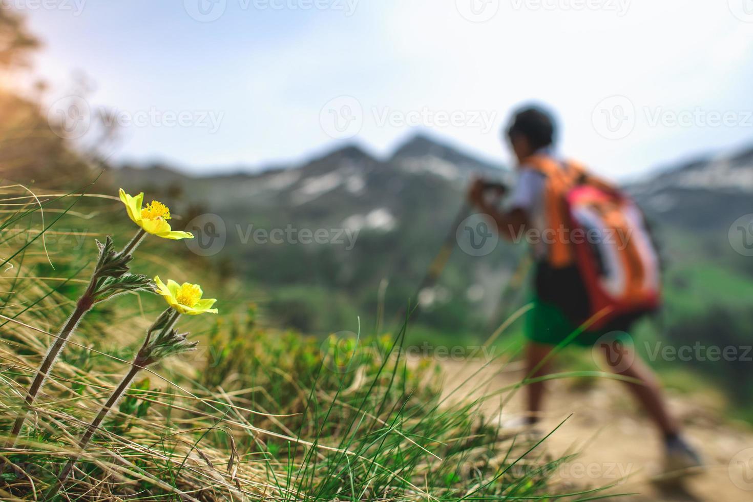 bergsblommor med liten pojke på en vandring foto