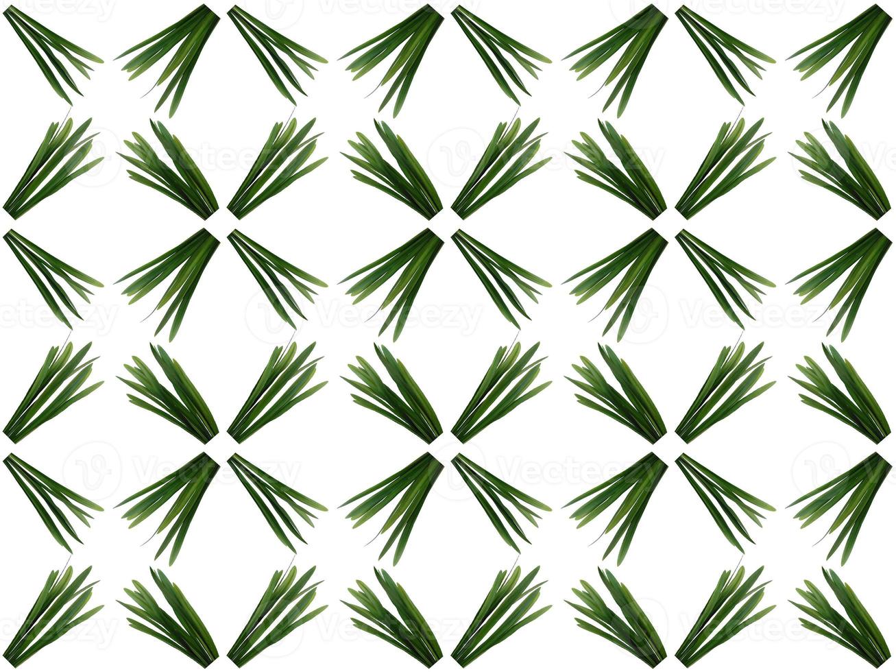 mönster blad på en vit bakgrund foto