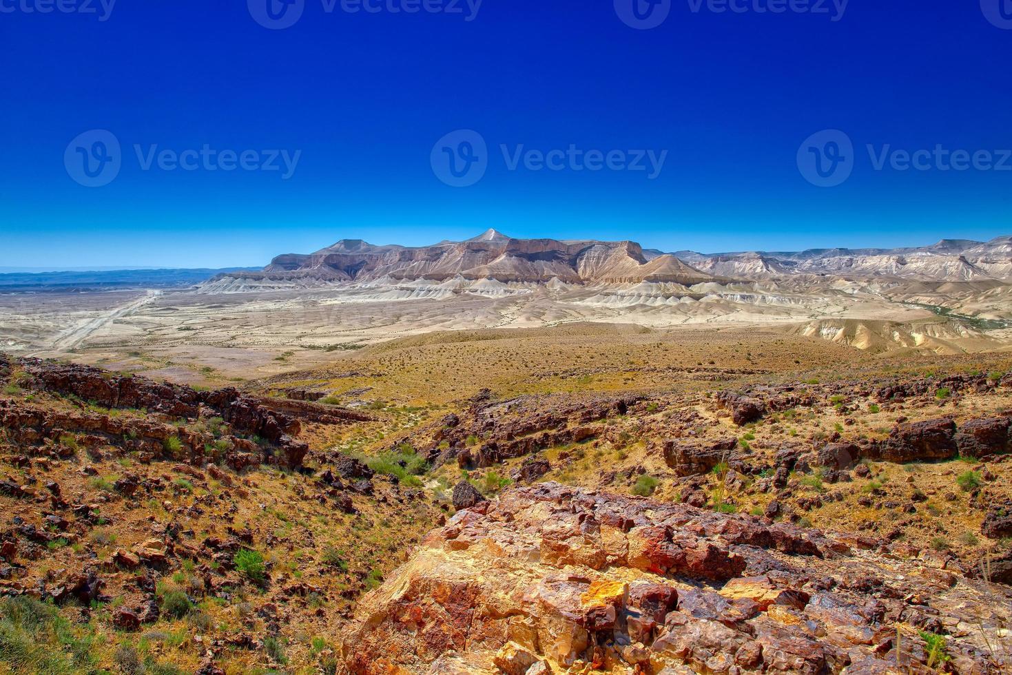 negev öknen israel foto