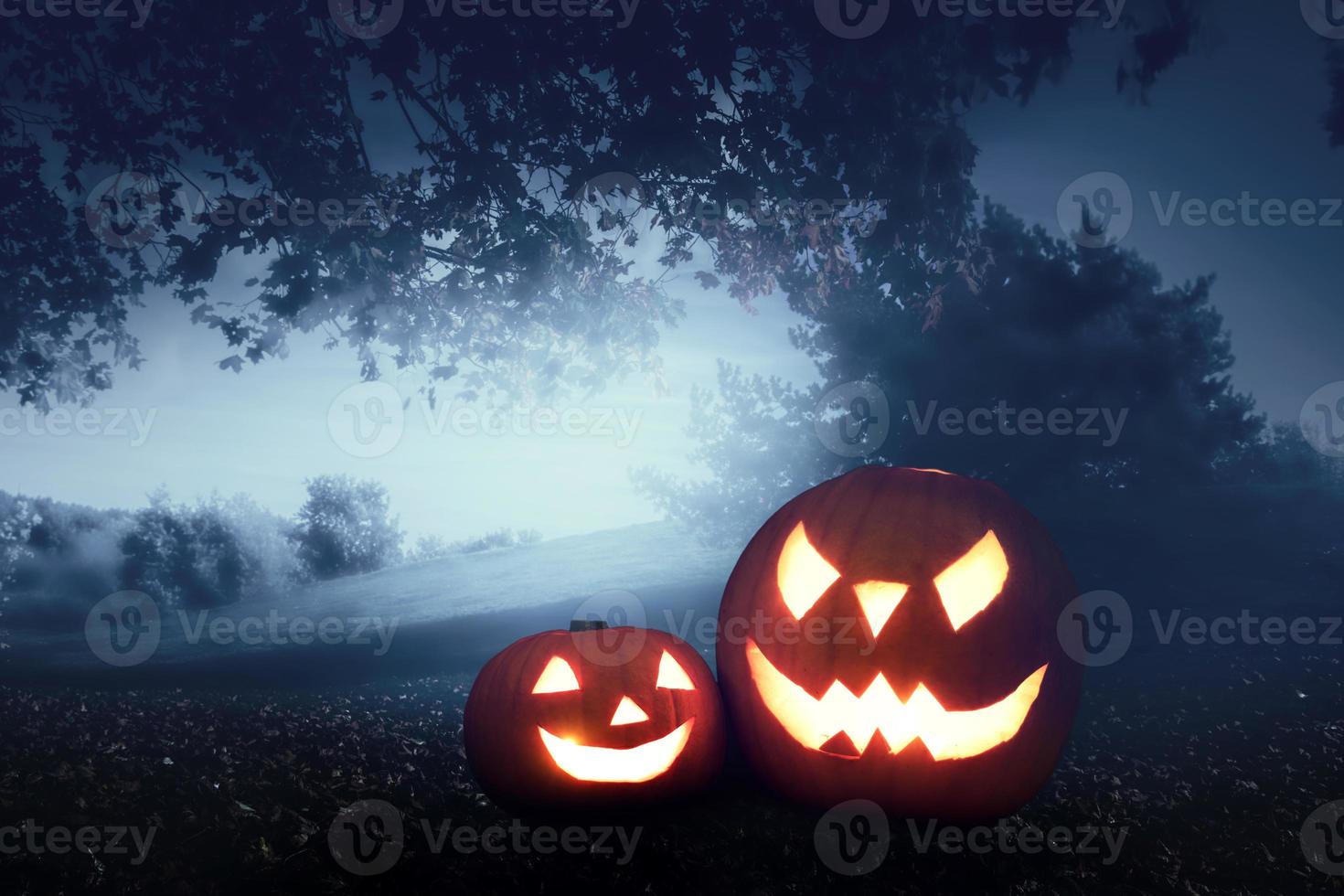 halloween pumpor på hösten skog bakgrund foto