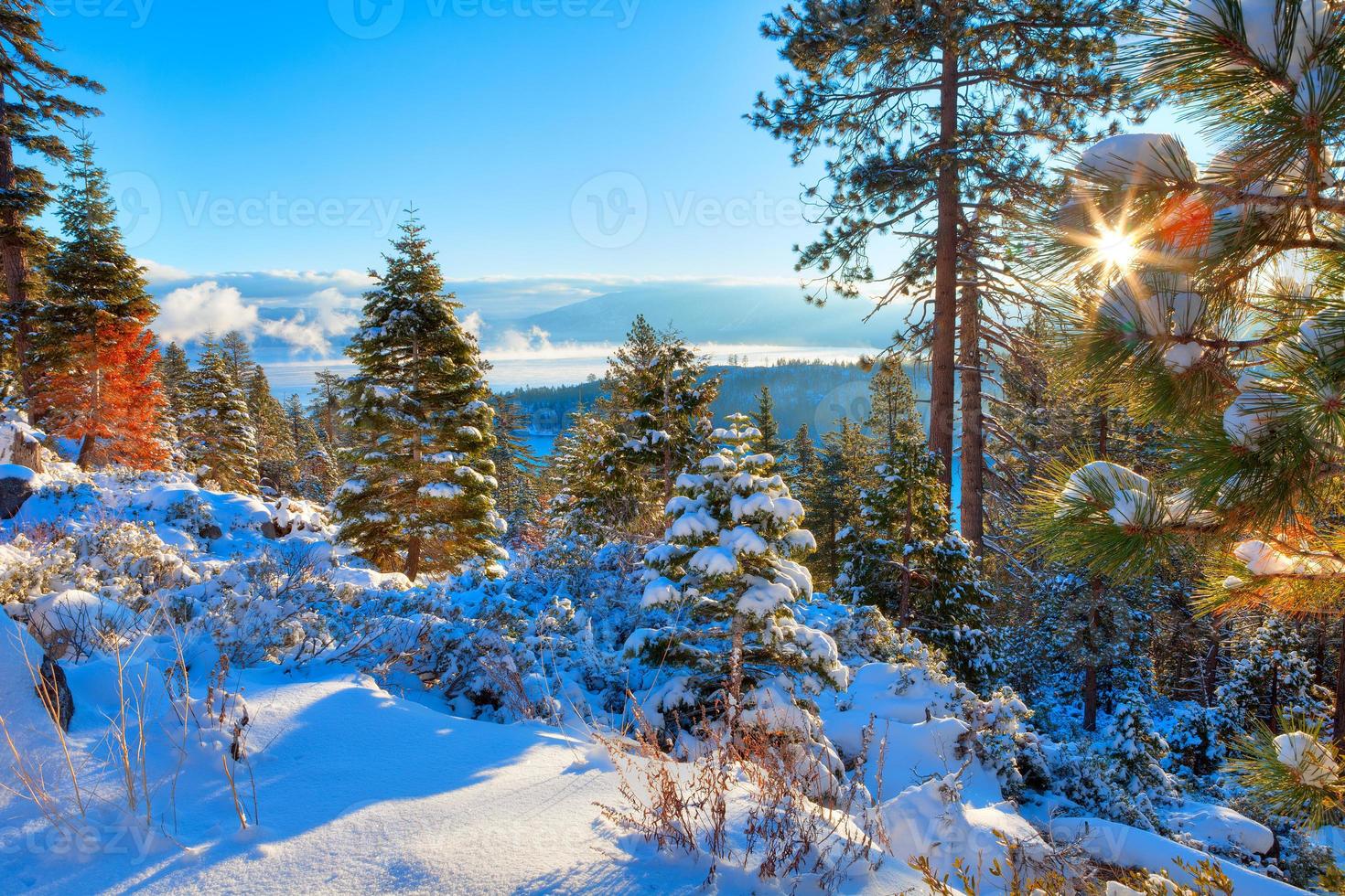 Tahoe sjön foto