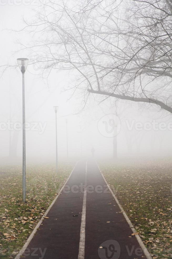 cykelväg i den dimmiga vinterdagen foto