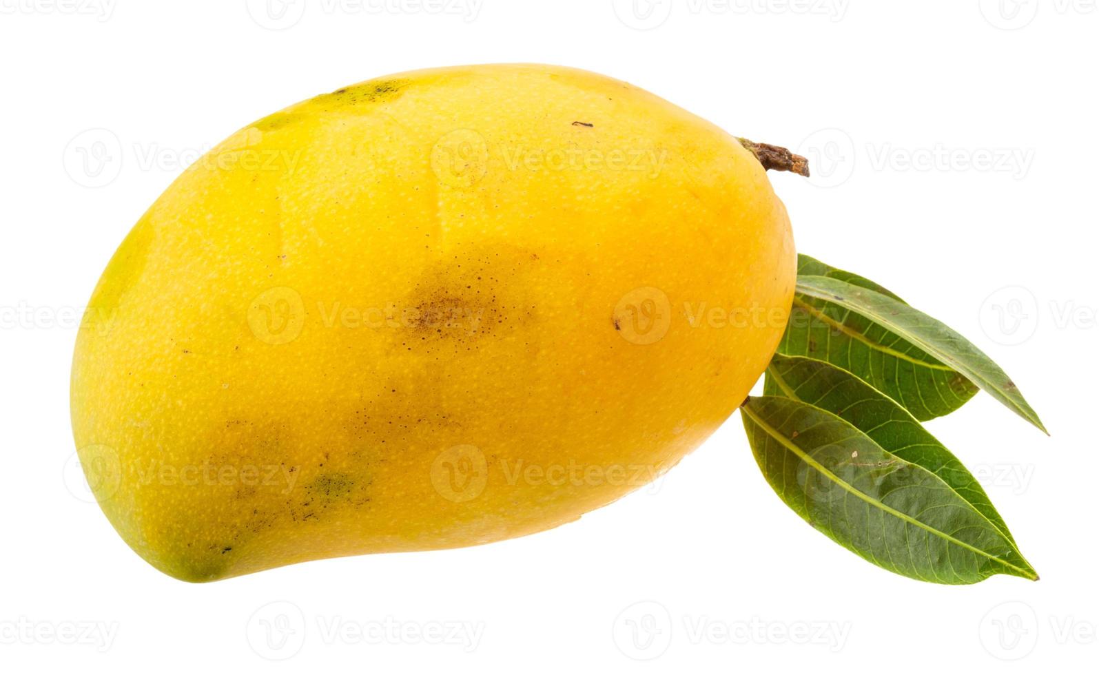 gul ljus mango foto