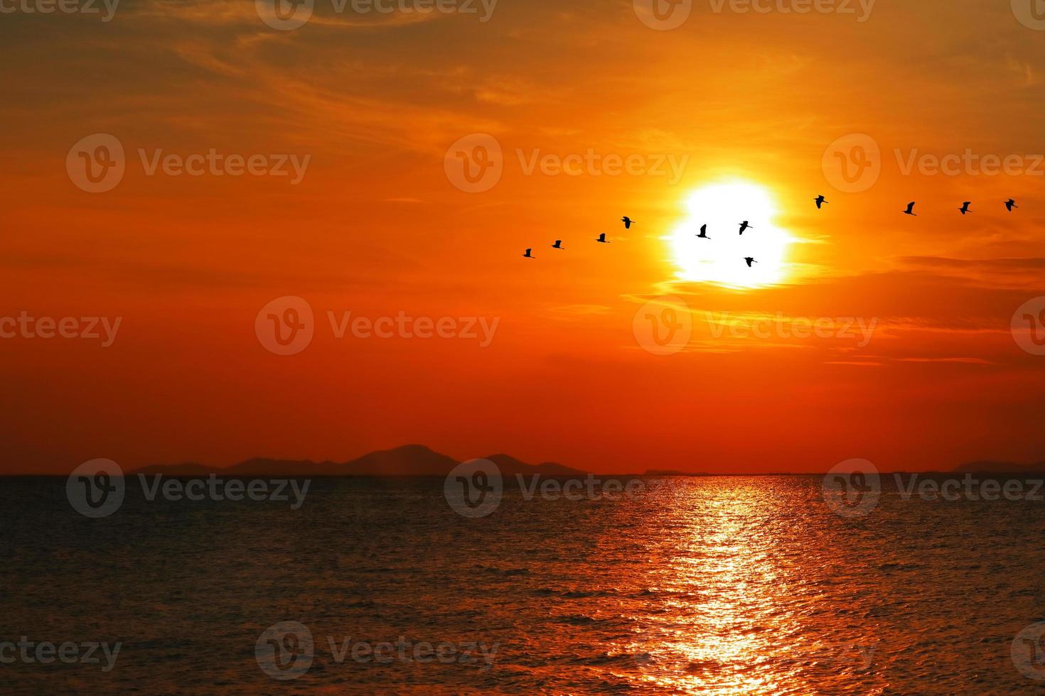 solnedgången tillbaka på siluett mörkröd orange moln på himlen och fågel flyger foto