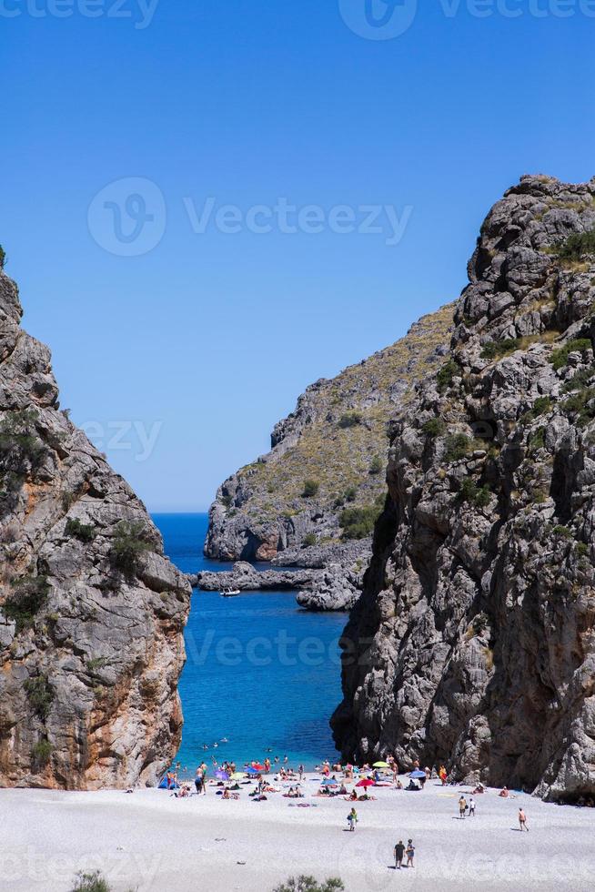 vacker strand med mycket rent och azurblått vatten vid Medelhavet på ön ibiza, Spanien foto