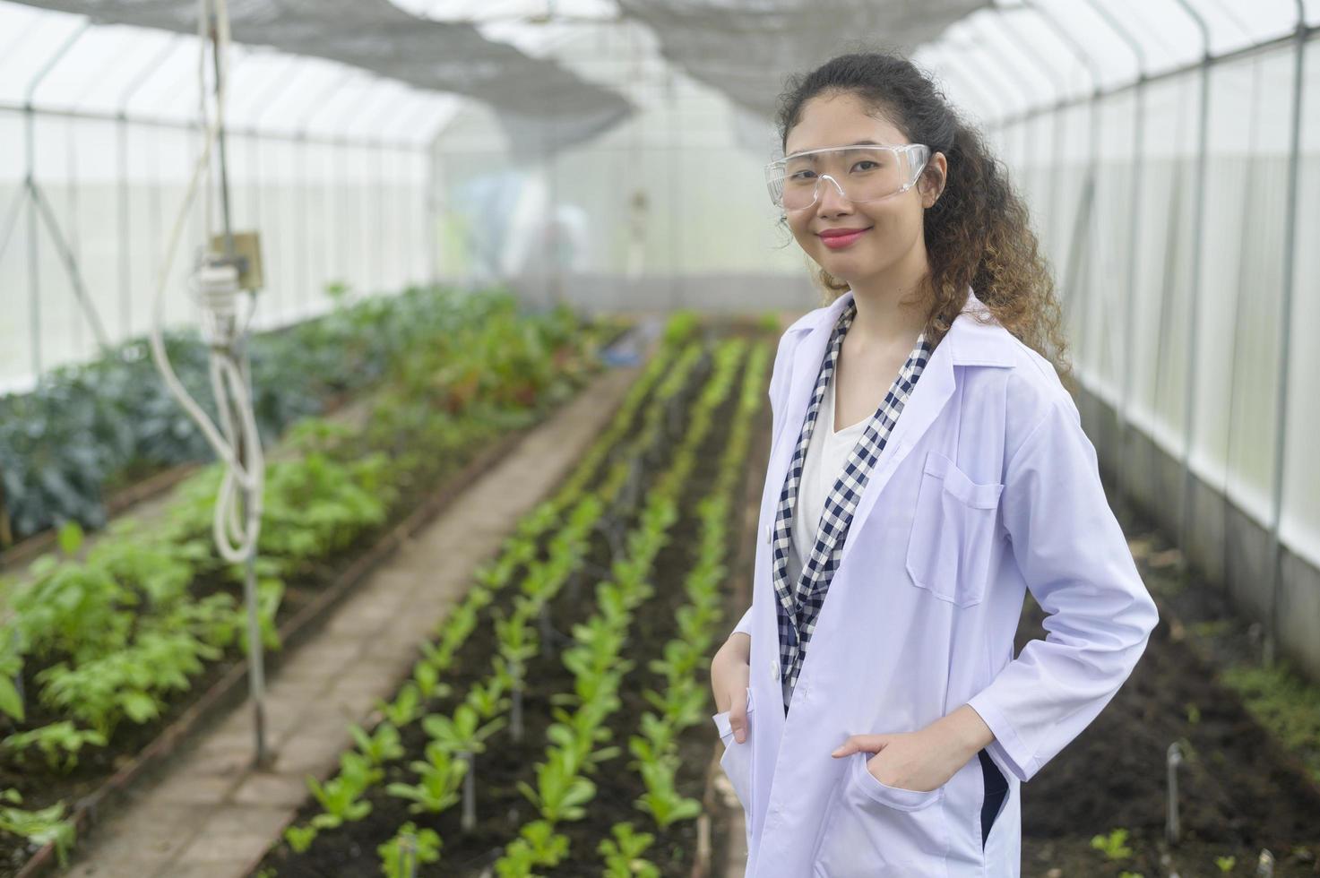 asiatisk kvinnlig agronom som arbetar i ett växthus, ekologiska grönsaker och jordbrukskoncept foto