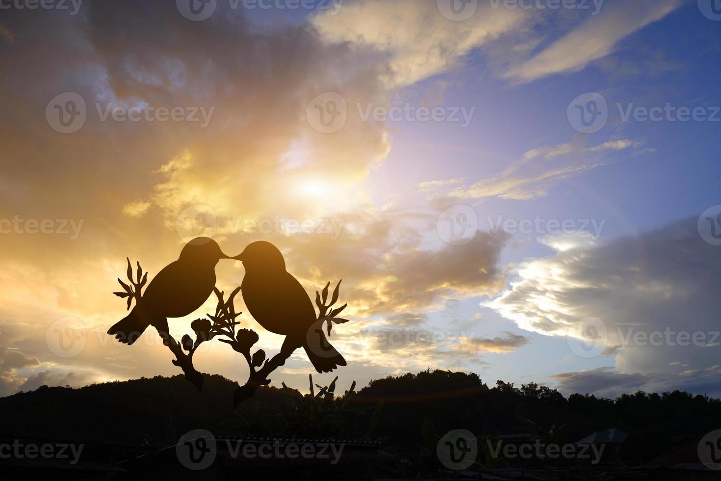 siluett av ett par kärleksfåglar med lugn orange solnedgång. i en hjärtform på en pastellbakgrund och alla hjärtans dag. foto