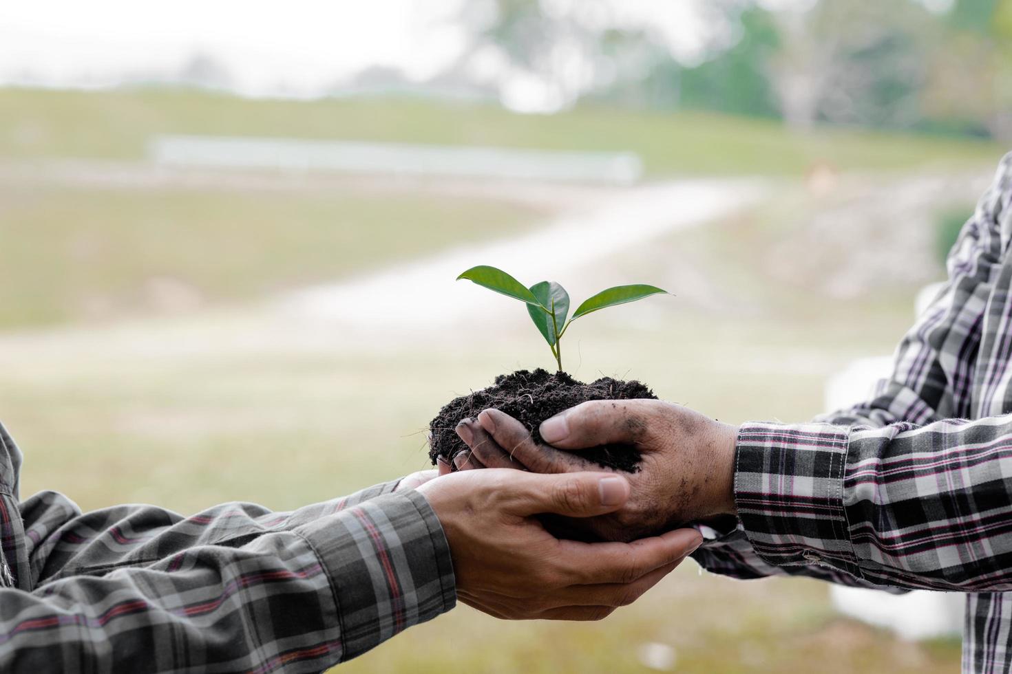 två personer som bär plantor för att plantera i en tropisk skog, en trädplanteringskampanj för att minska den globala uppvärmningen. konceptet att rädda världen och minska den globala uppvärmningen. foto