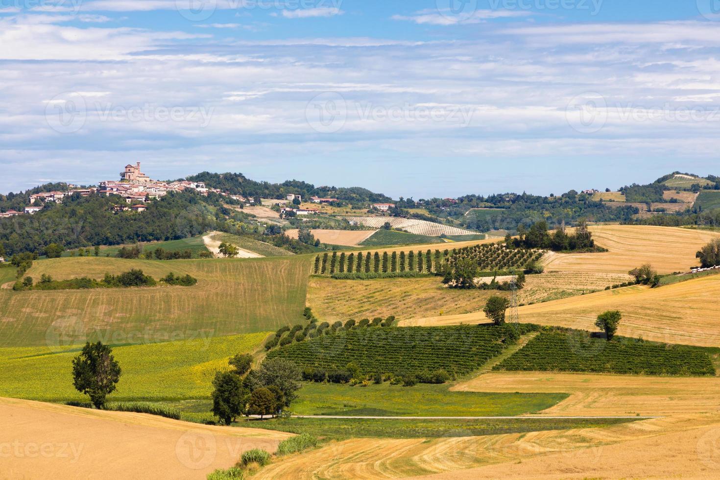 Barbera vingård i regionen Piemonte, Italien. landsbygdslandskap i Langhe-området foto