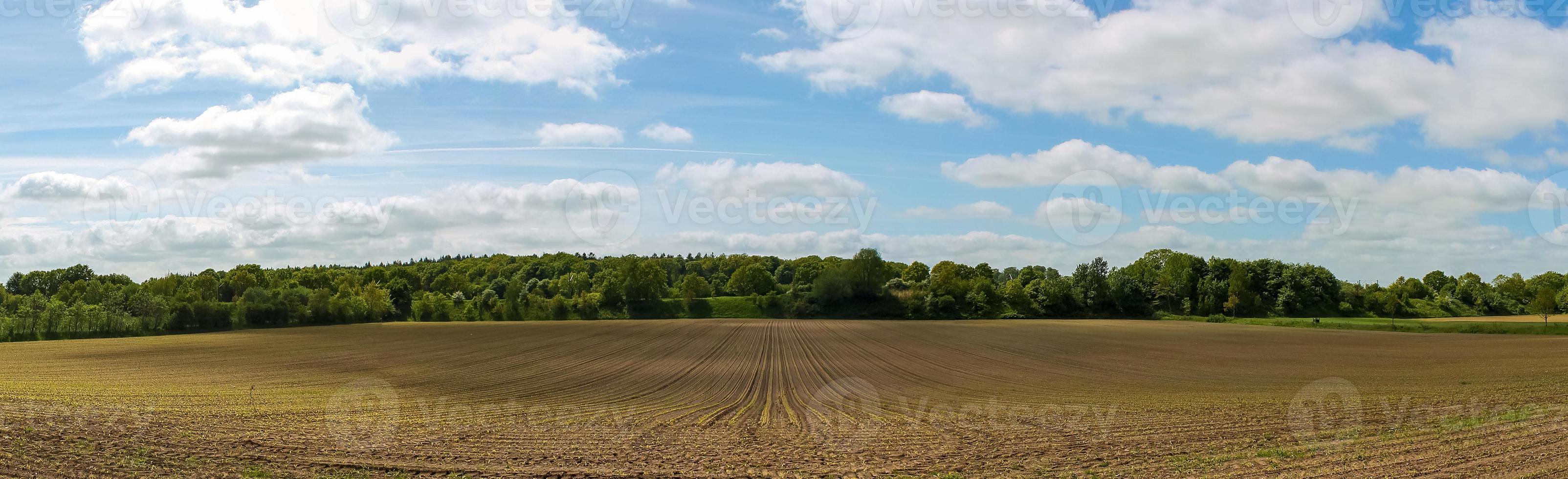 vackert högupplöst panorama av ett nordeuropeiskt landslandskap med fält och grönt gräs foto