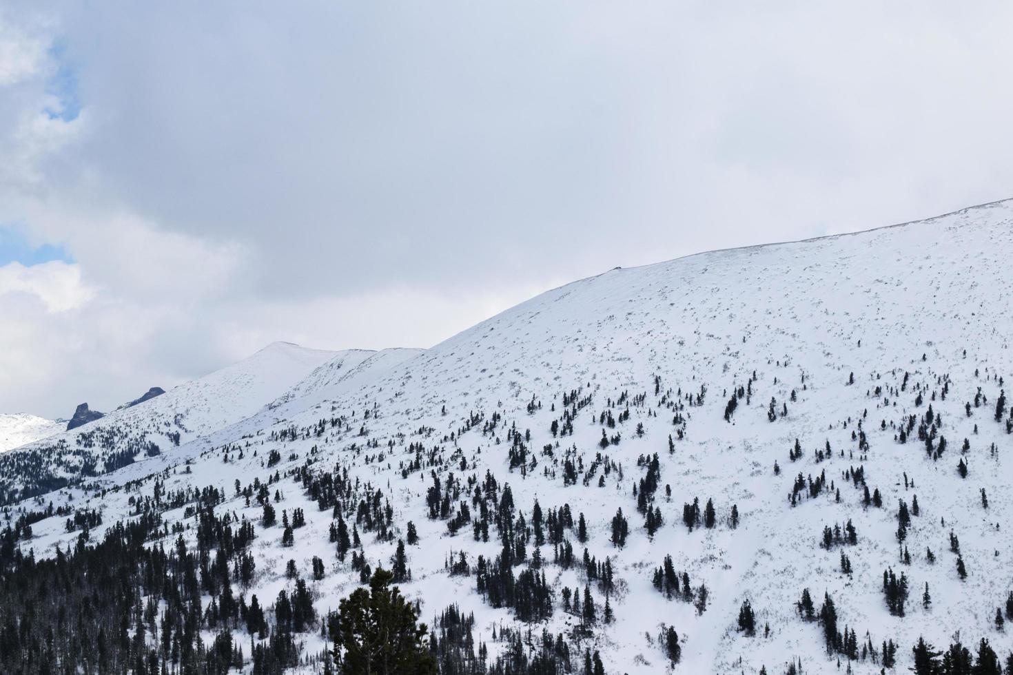 Sibiriens natur. sayan bergen foto