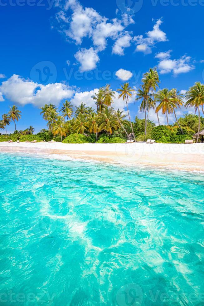 strand natur koncept. palmstrand på en tropisk idyllisk paradisö. exotiskt landskap för drömmande och inspirerande sommarlandskap som bakgrund eller tapeter foto