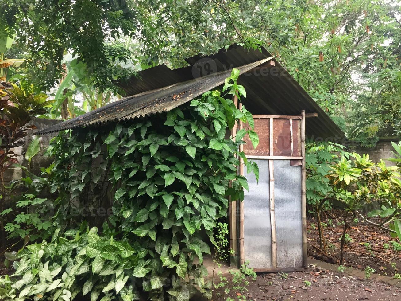 traditionella hydda hus med vinstockar på väggen foto