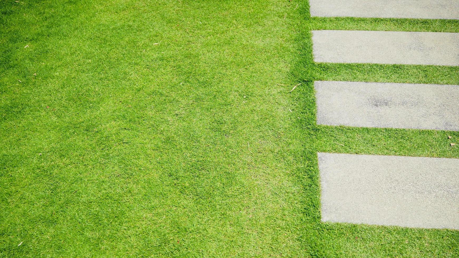 grön gräsmatta med fyrkantiga stenblocksgångar. foto
