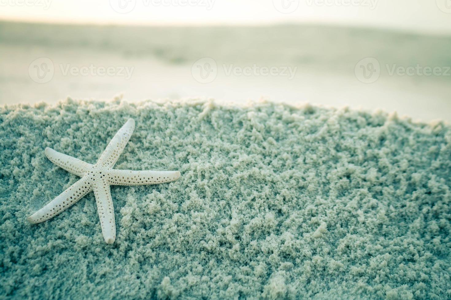 sjöstjärna på havet vit sand. foto