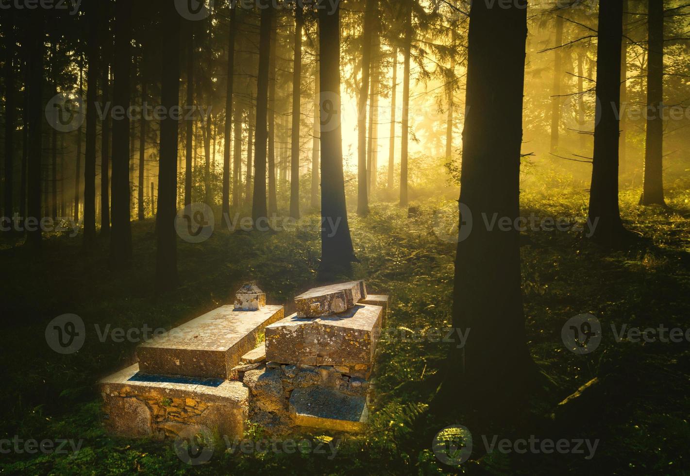 gamla kyrkogården på natten foto